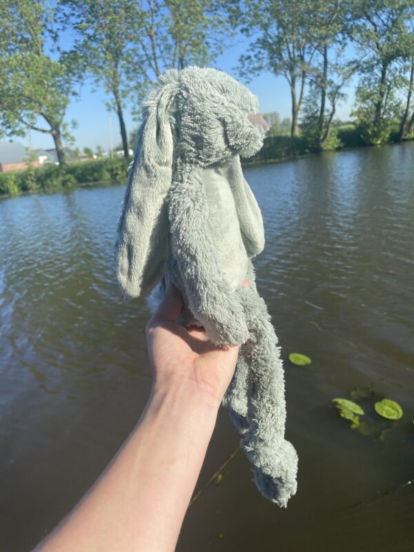 Happy Horse Rabbit Rich - Groen - Afbeelding 3