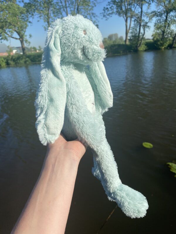 Happy Horse Rabbit Rich - Mint - Afbeelding 3