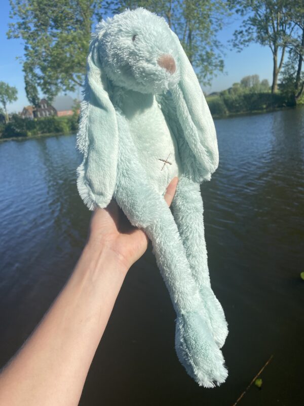Happy Horse Rabbit Rich - Mint - Afbeelding 2
