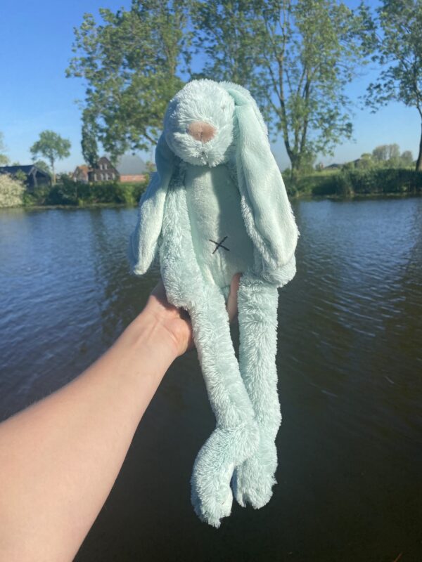 Happy Horse Rabbit Rich - Mint