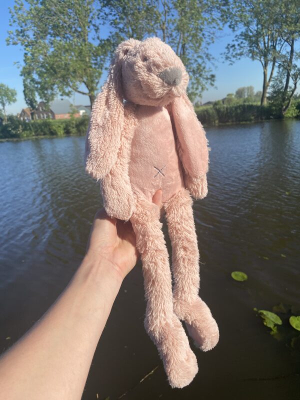 Happy Horse Rabbit Rich - Oud Roze