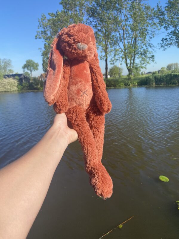 Happy Horse Rabbit Rich - Roest